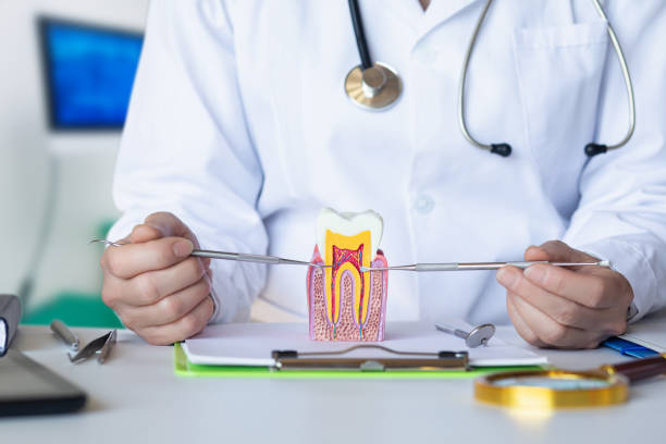 Best Cosmetic Emergency Dentistry in Luna Pier, MI